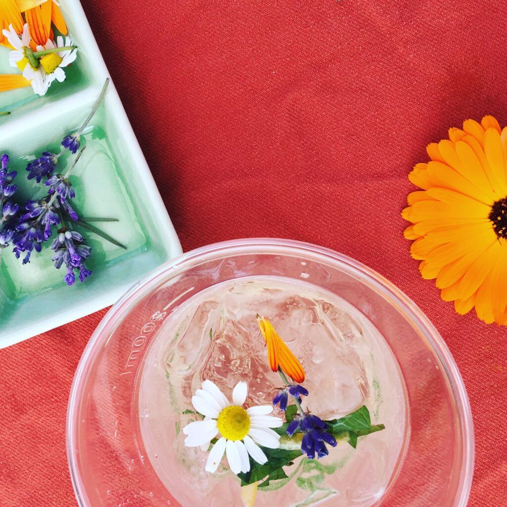 Elderflower Soda – Carmel Berry Co.