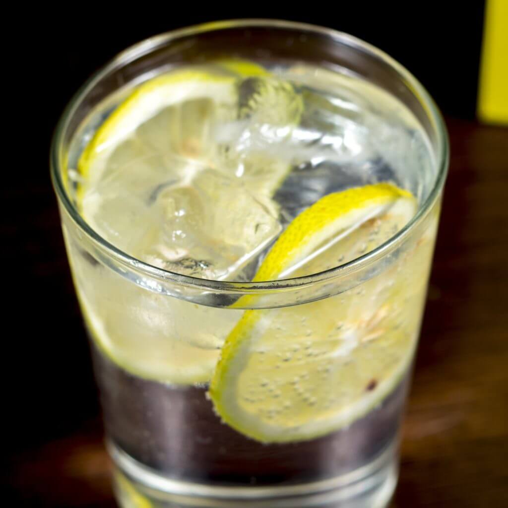 Elderflower Gin and Tonic Carmel Berry Co.