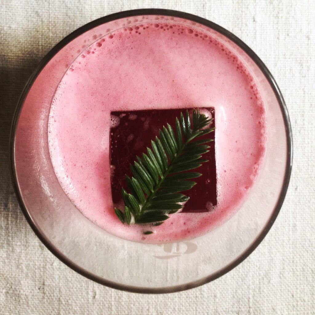 Elderberry Whiskey Sour Carmel Berry Co.